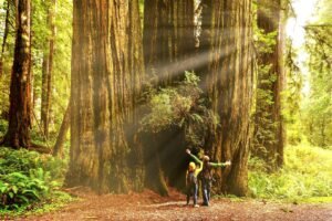 IHCL REAFFIRMS COMMITMENT TO RESPONSIBLE RESOURCE MANAGEMENT ON EARTH DAY….