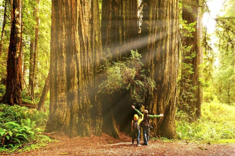 IHCL REAFFIRMS COMMITMENT TO RESPONSIBLE RESOURCE MANAGEMENT ON EARTH DAY….