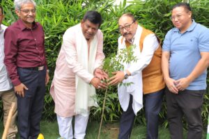 এক পেড়, মা কে নাম…।