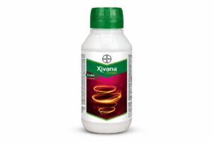 Bayer launches Xivana™ Smart, a next-generation fungicide to help horticulture farmers combat devastating crop diseases….